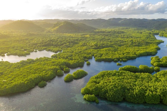 Amazônia atrai os turistas por suas paisagens deslumbrantes e riqueza cultural (Imagem: Valentin Ayupov | Shutterstock) -  (crédito: Edicase - entretenimento -> Diversão e arte)