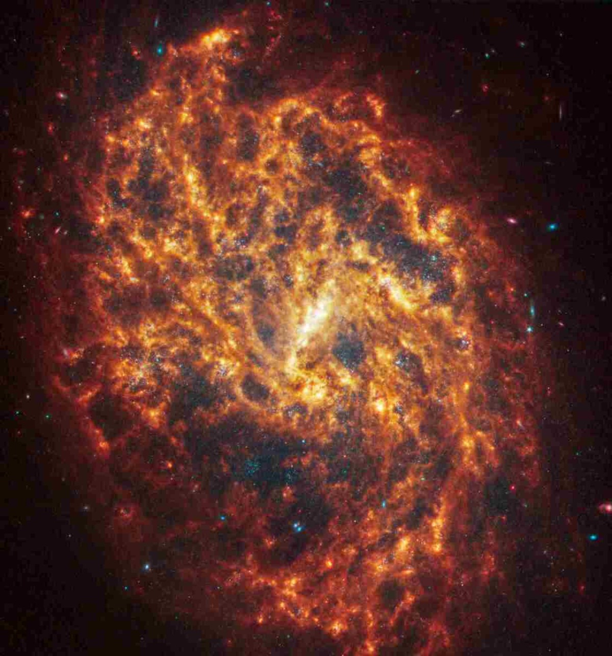 Visões de Webb e Hubble da galáxia espiral NGC 1087 