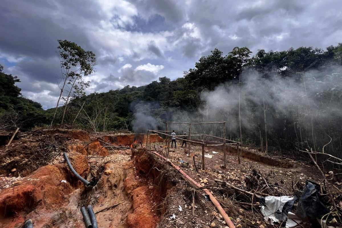 Em cinco meses, governo completa mil operações na TI Yanomami