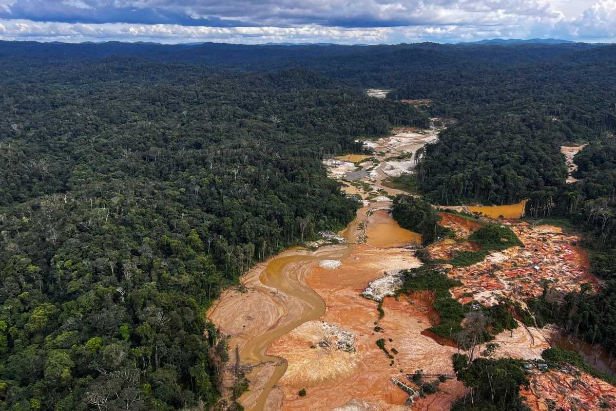 Greve reduz controles sobre desmatamento e garimpo ilegal no Brasil