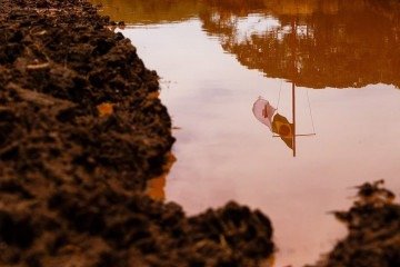 'A montante' é um tipo de construção de barragem de rejeitos em que a estrutura é elevada sobre o próprio material depositado, formando camadas sucessivas de rejeito -  (crédito: wikimedia commons Diego Baravelli)
