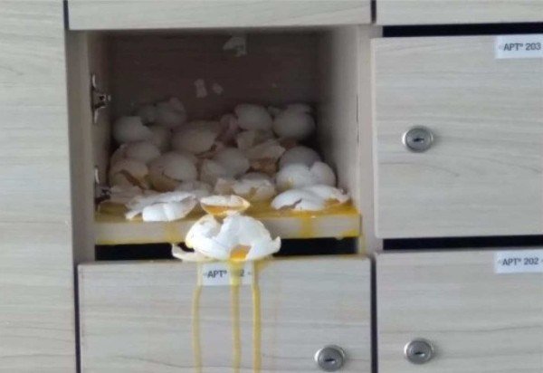 Material cedido ao Correio