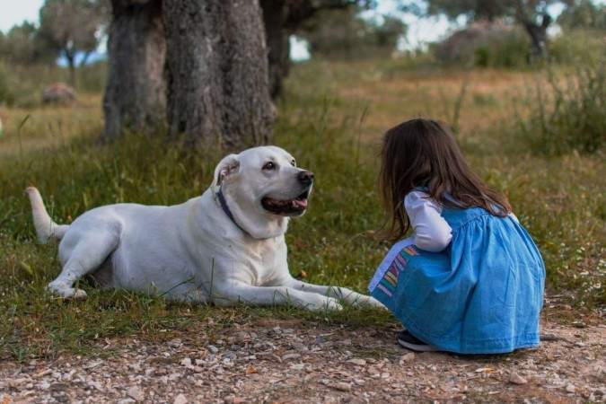 Pesquisa buscou atrelar a convivência com cães a hábitos mais saudáveis na infância -  (crédito: Stephen Chantzis/Pexels)