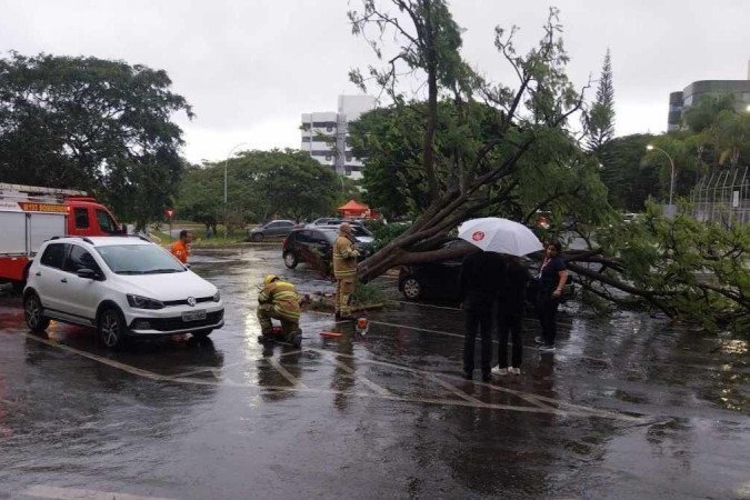 Árvore caída em cima de carro no Sudoeste. - (crédito: material cedido ao Correio) Árvore caída em cima de carro no Sudoeste. - (crédito: material cedido ao Correio)
