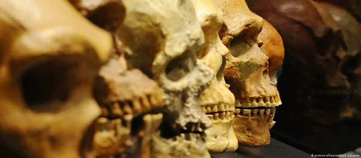Homo sapiens pode ter convivido com neandertais no norte da Europa
