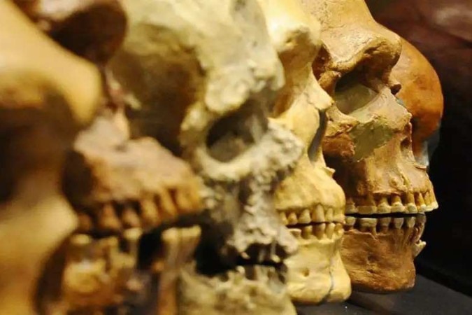 Apesar do frio, os primeiros grupos de Homo sapiens se aventuraram no noroeste da Europa há 45 mil anos -  (crédito: Reprodução/picture-alliance/dpa/J. Kalaene)