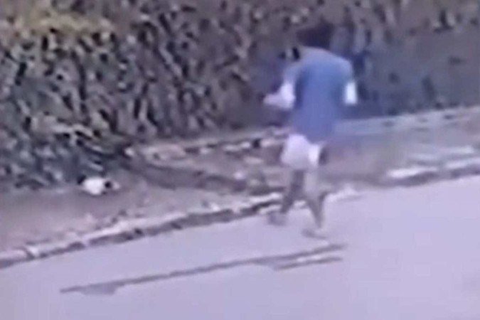 Animal foi morto em 22 de janeiro deste ano no Bairro Jardim Bela Vista - (crédito: Câmera de monitoramento/Reprodução) Animal foi morto em 22 de janeiro deste ano no Bairro Jardim Bela Vista - (crédito: Câmera de monitoramento/Reprodução)