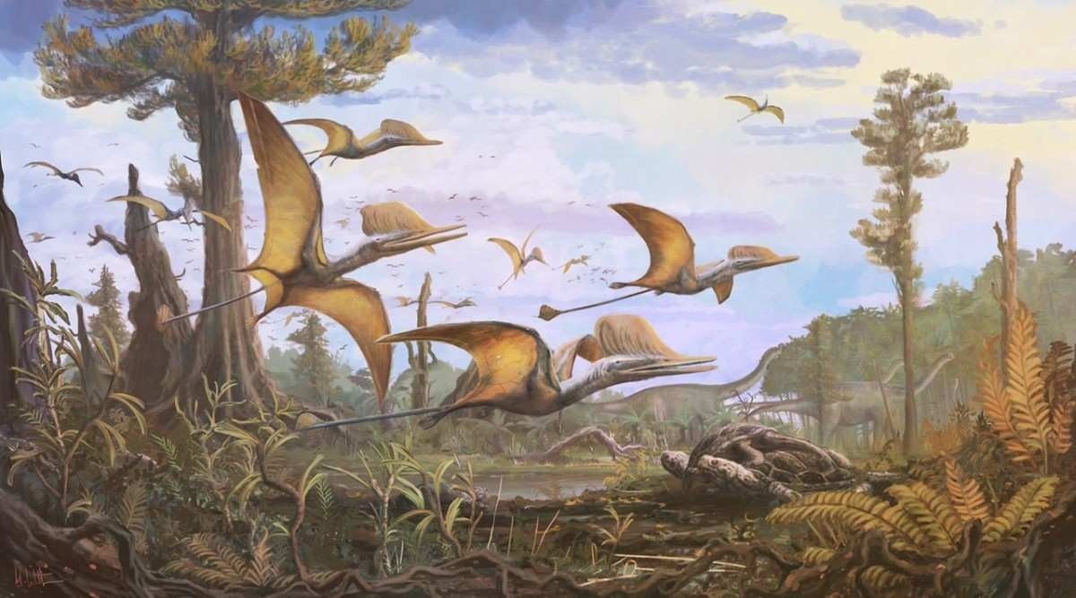 Nova espécie de pterossauro é descoberto e muda visão sobre período Jurássico