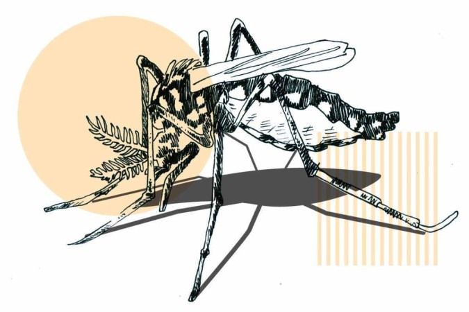 Dengue mosquito aedes  -  (crédito: Valdo Virgo/CB/D.A Press)