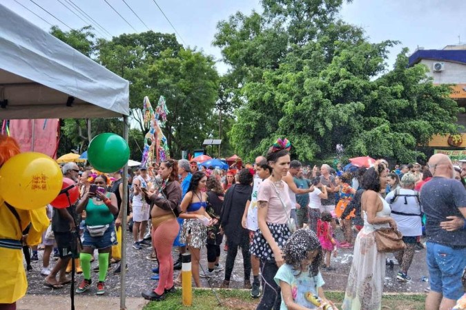 Bloco da Tesourinha atrai famílias neste domingo de carnaval -  (crédito: Ricardo Daehn/CB/D.A. Press)