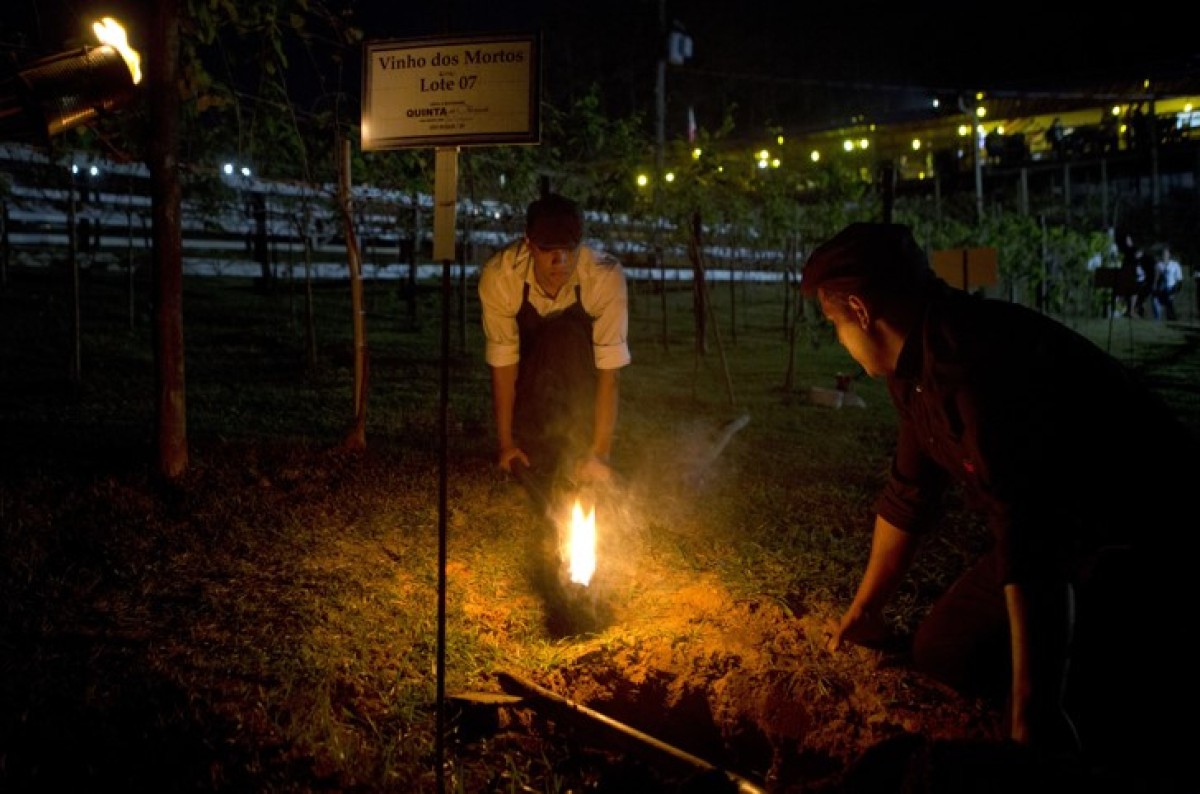 Quinta do Olivardo realiza a primeira noite do “Vinho dos Mortos” em 2024