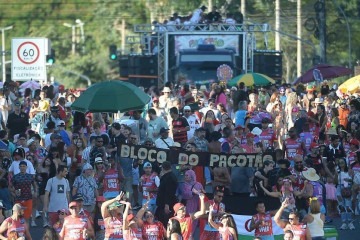 Neste ano, Carnaval ocorrerá em 3 de março -  (crédito:  Ed Alves/CB/DA.Press)