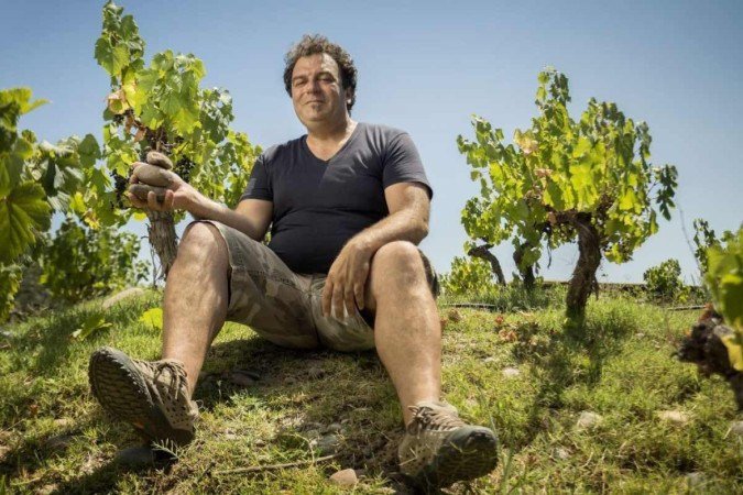 Alejandro Vigil é enólogo-chefe da renomada Catena Zapata e dono da Vinícola El Enemigo