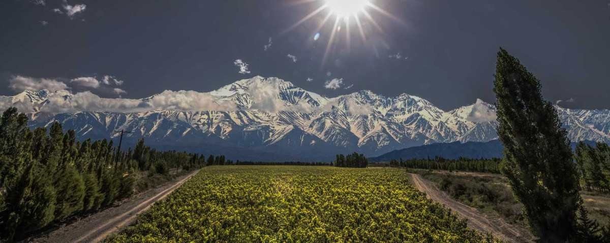 Mendoza, a terra do vinho: um guia para visitantes de primeira viagem
