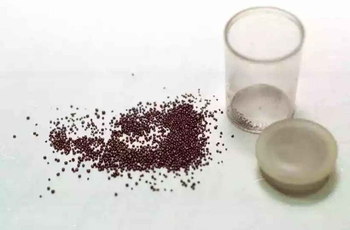 Mãe é suspeita de envenenar o filho de 8 anos e a si mesma com 'chumbinho' em SP