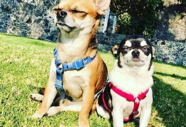 Fotos: Material cedido ao Correio