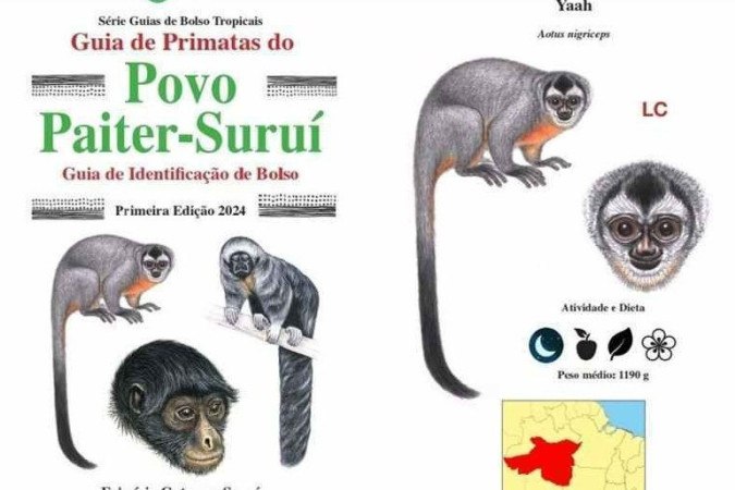 O catálogo é fruto da dissertação de mestrado do biólogo, desenvolvida no Museu Paraense Emílio Goeldi, em Belém do Pará -  (crédito: Divulgação/Fabrício Suruí)