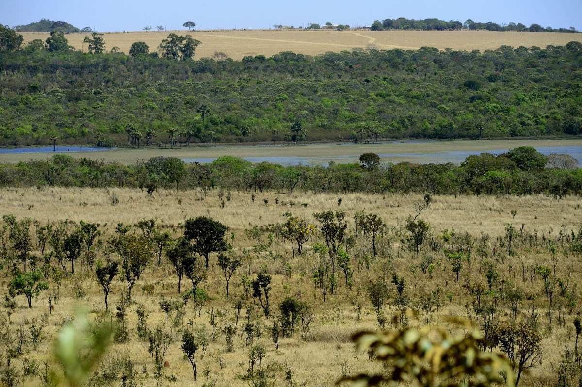 Cerrado e Pantanal protegidos