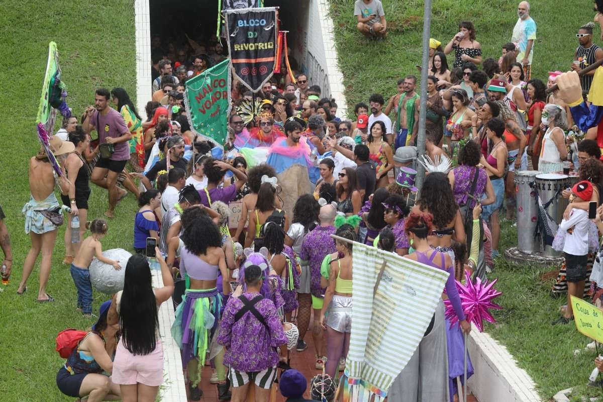 Brasília (DF), 18.02.2024- Blocos de carnaval Rivotrio e Filhas da Mãe que saíram hoje na 205 norte.Foto Luís Tajes