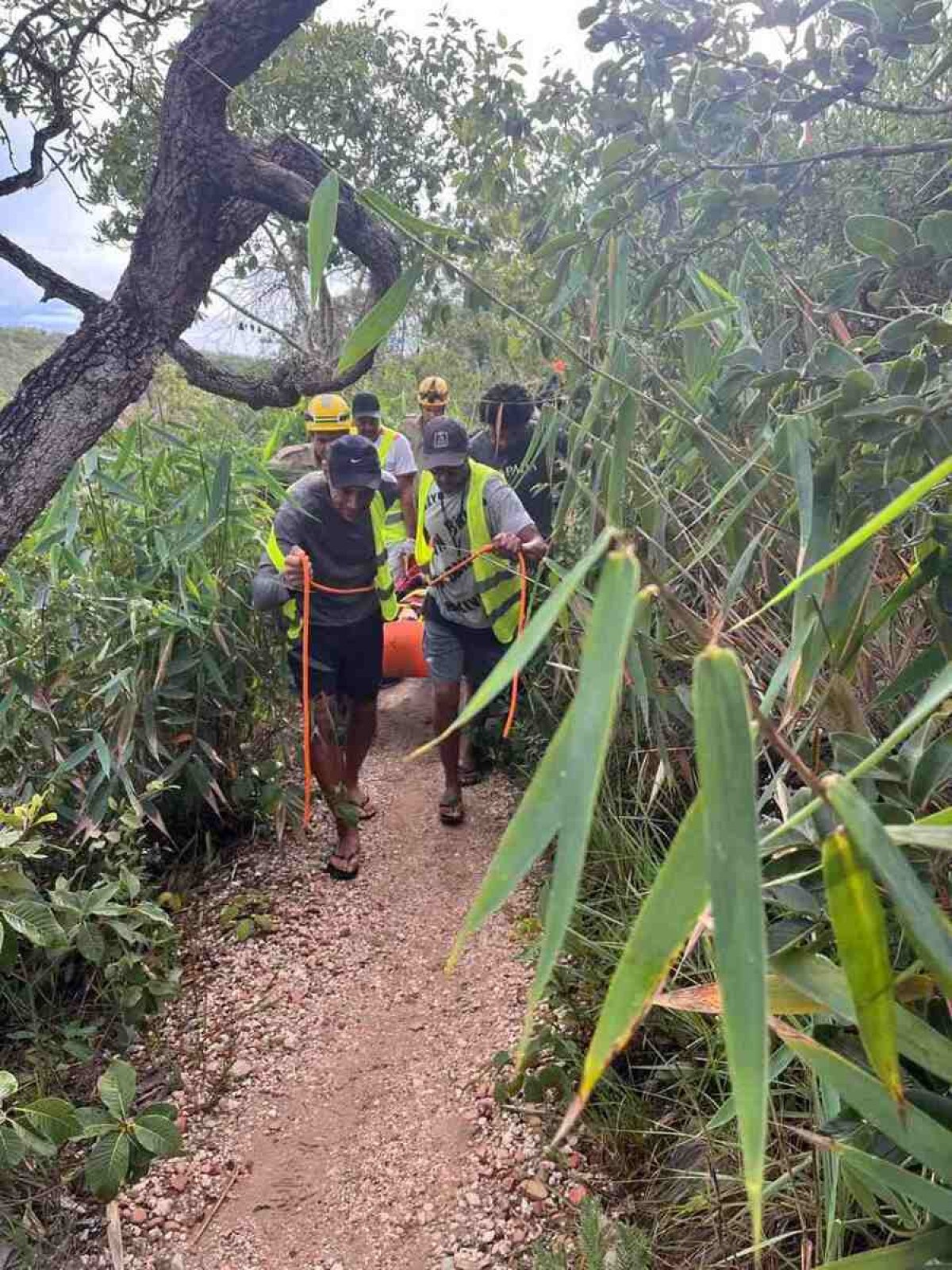 Corpo de Bombeiros fez a retirada da vítima do local 