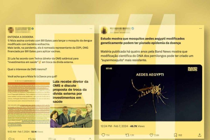 Posts com desinformação envolvendo mosquitos Aedes aegypti geneticamente modificados para o controle de doenças como dengue estão viralizando em um momento em que o país vive uma alta no número de casos -  (crédito: Reprodução/Comprova)