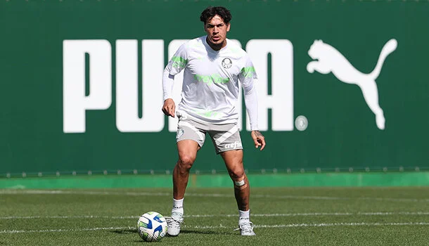 Gustavo Gómez se lesionou no duelo contra o Corinthians -  (crédito: Foto: Ronaldo Barreto/Ag. Paulistão)