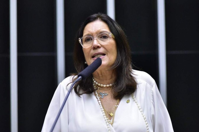  Deputada federal, Bia Kicis (PL - DF). -  (crédito:  Zeca Ribeiro/Câmara dos Deputados)