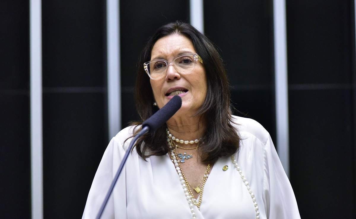 Bia Kicis sobre Senado: 