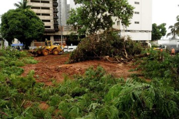  Crédito: Carlos Vieira CB/DA Press. Brasília DF. Cidades. Derrubada de árvores e limpeza de terreno no SHS ao lado do Hotel das Américas. -  (crédito:  <<<>>>                              )