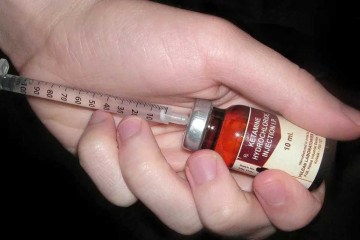  A medicação foi testada, por enquanto, em camundongos, mas cientistas estão otimistas com a aplicação e os resultados em humanos  -  (crédito:  Wikimedia Commons/Divulgação )