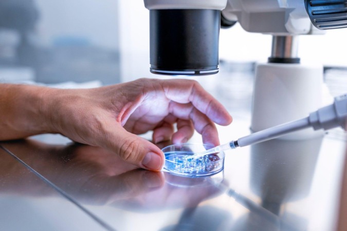 A fertilização in vitro é uma forma comum de tratamento de fertilidade nos EUA -  (crédito: Getty Images)