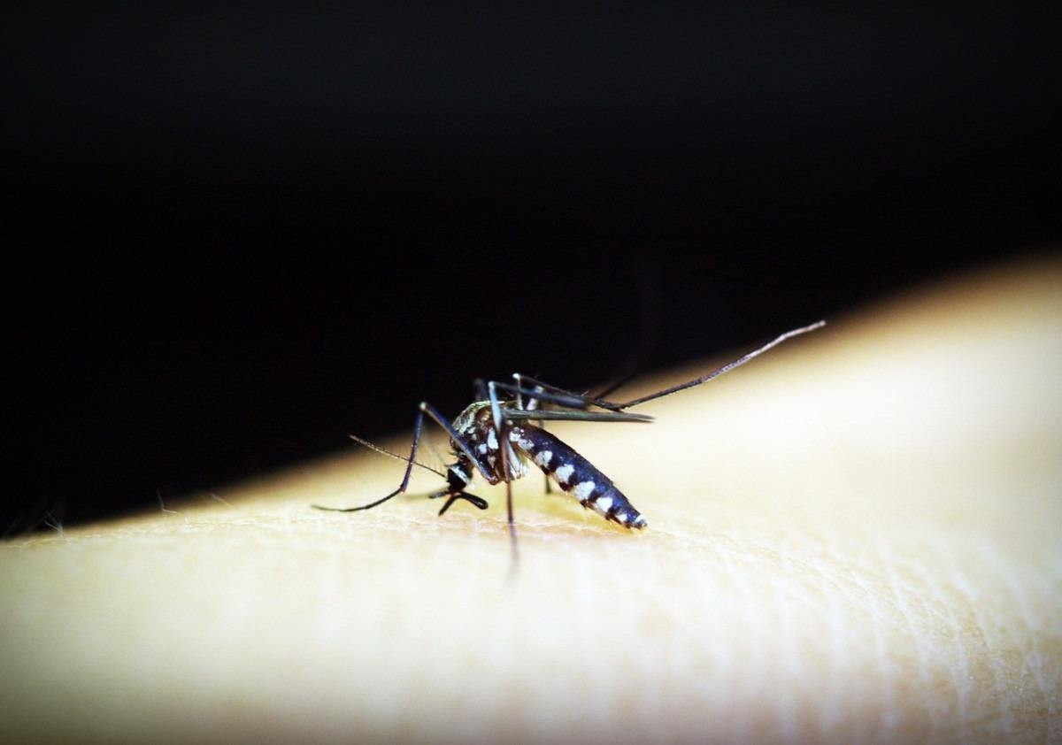 Dengue, uma luta de todos