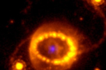 Cientistas descobriram que a estrela de nêutrons em roxo está no centro de um brilhante 'colar de pérolas' de gás superaquecido -  (crédito: NASA/JOSEFIN LARSSON)