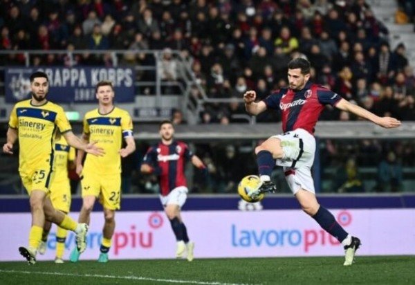 - Foto: Divulgação / Bologna