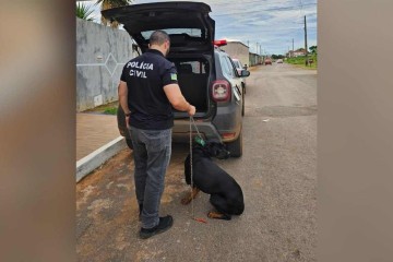 Suspeito foi indiciado pelo crime de maus-tratos -  (crédito: PCGO/Divulgação)