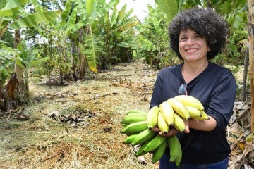Banana é uma das espécies cultivadas na agrofloresta de Gedilene Lustosa  -  (crédito:  Marcelo Ferreira/CB/D.A Press)