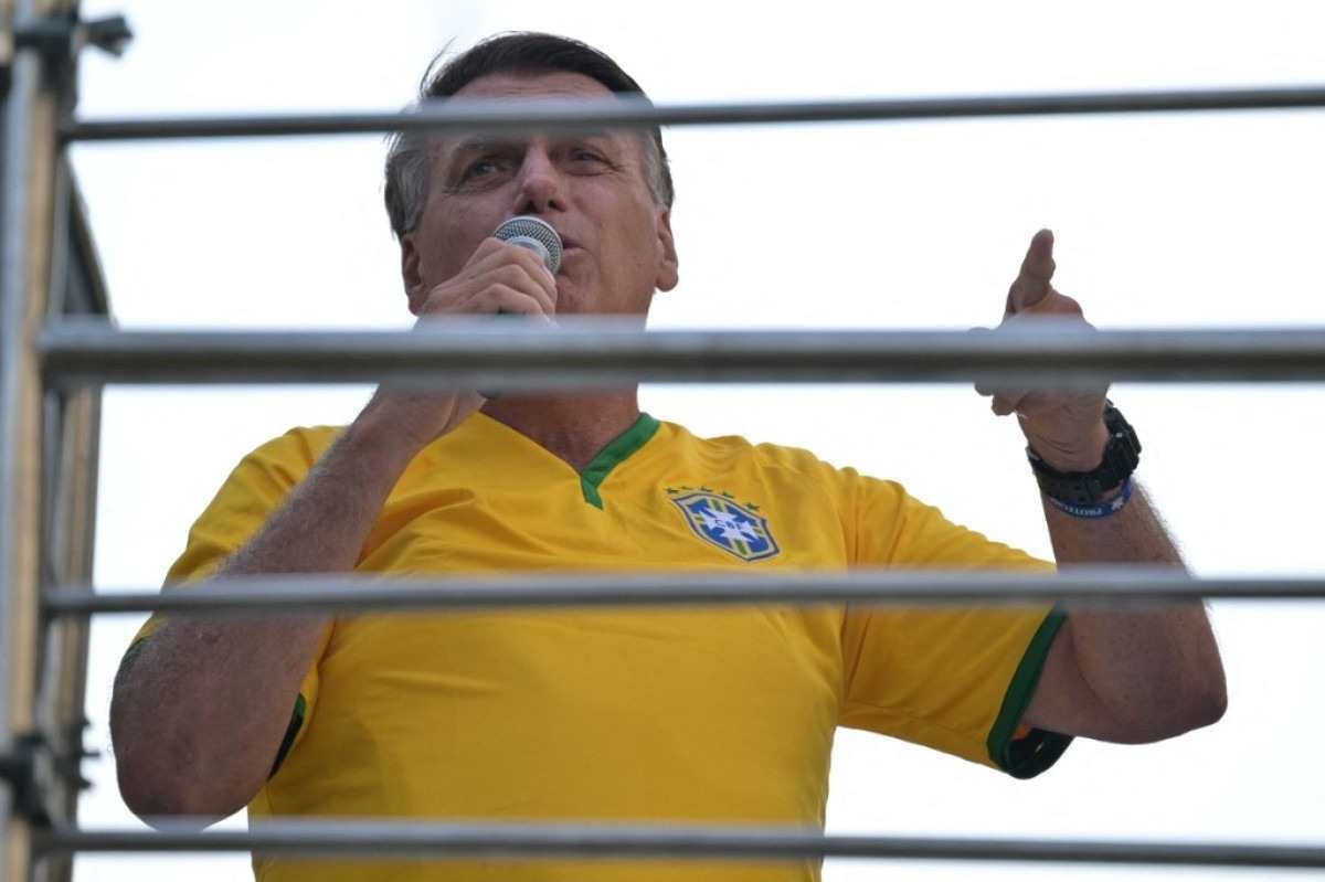Perturbação a baleia: entenda crime pelo qual Bolsonaro é acusado