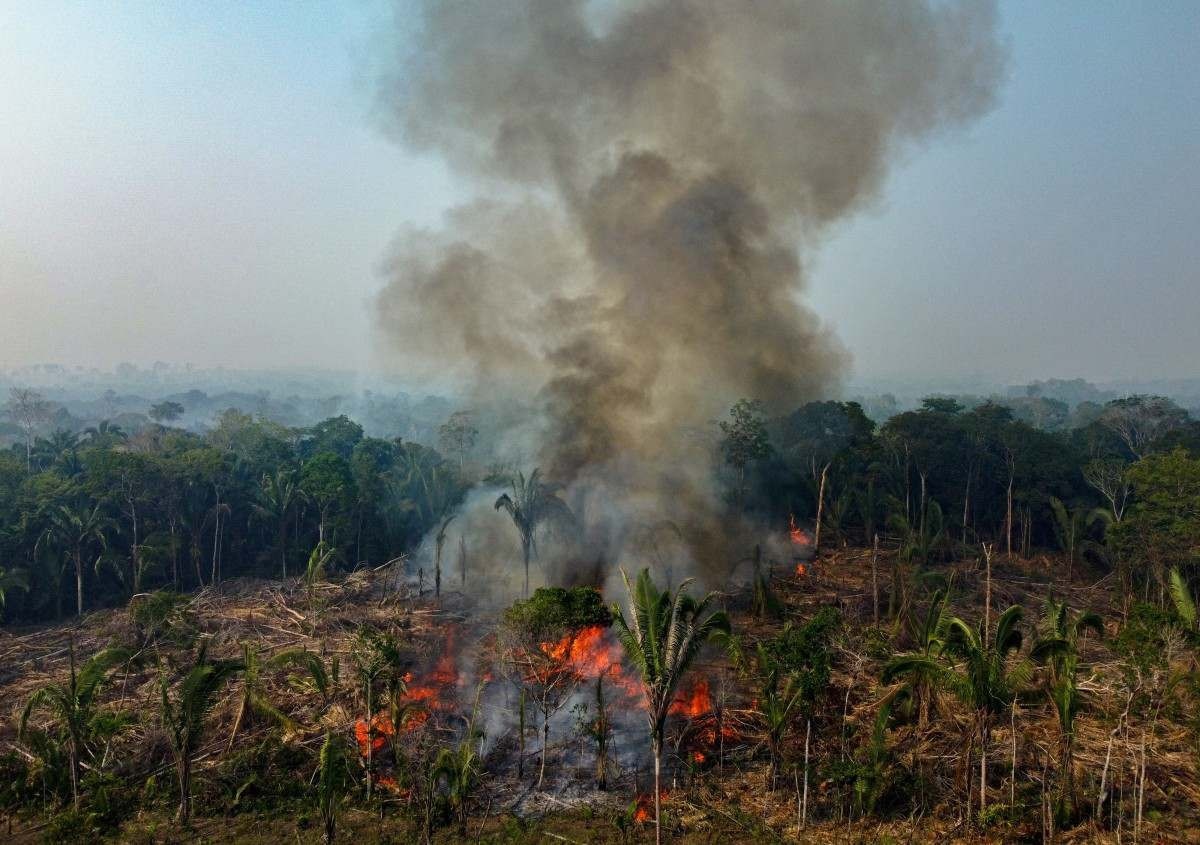 Amazônia Legal registra quase 3.000 incêndios; recorde para fevereiro
