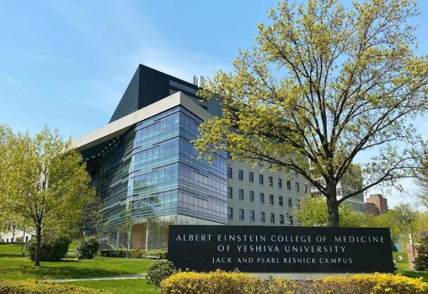 Albert Einstein College of Medicine/Divulgação