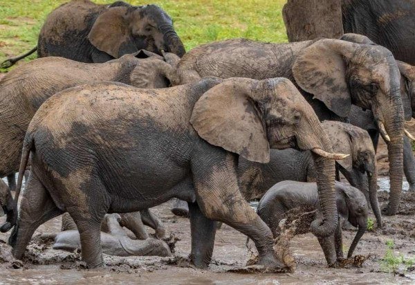 Reprodução/Freepik