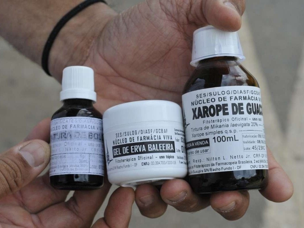  01/03/2024. Crédito: Minervino Júnior/CB/D.A Press. Brasil.  Brasilia - DF. Plantas medicinais no Horto Medicinal Agroflorestal Biodinâmicol no Centro de Saúde do Lago Norte. Remédios distribuidos nos postos de saúde.