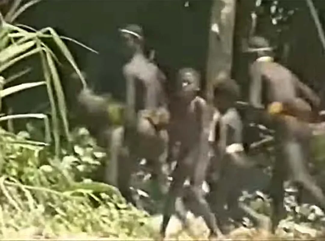 O povo “sentinela”, que habita uma ilha localizada no Oceano Índico, é considerado o mais isolado do mundo. -  (crédito: Reprodução Youtube GALEGO)