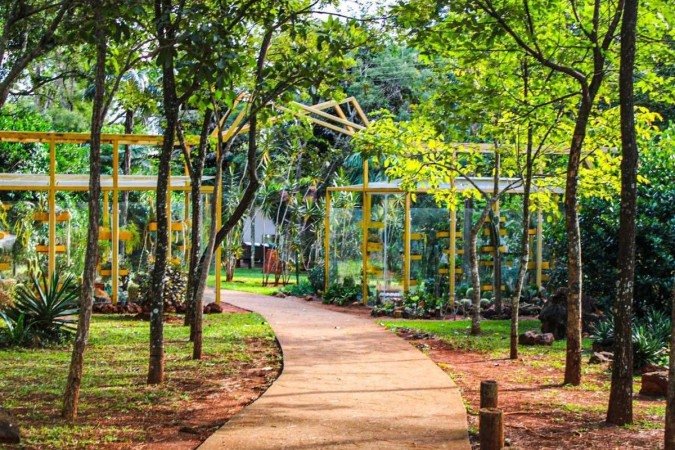 Nos trajetos, os visitantes terão a oportunidade de conhecer mais sobre os tipos de vegetação do Cerrado