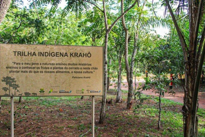  05/03/2024 Crédito: Kayo Magalhães/CB/D.A Press. Brasil. Brasília - DF.Cidades. Jardim Botânico divulga trilhas especiais para celebrar o 39° aniversário.