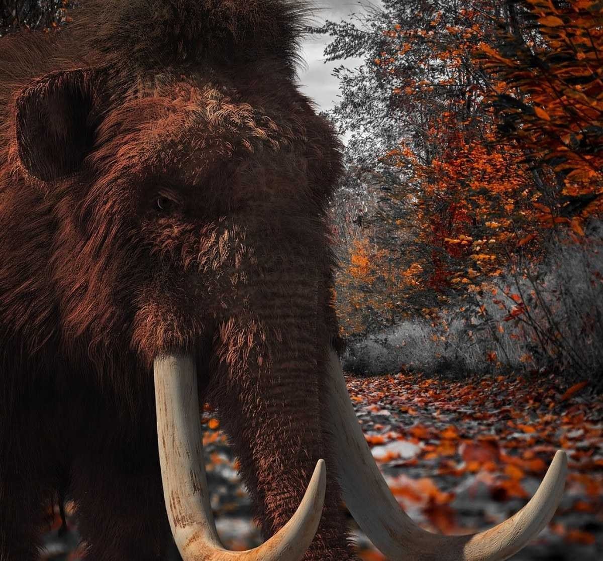 Empresa de biotecnologia promete reviver mamute-lanoso até 2027