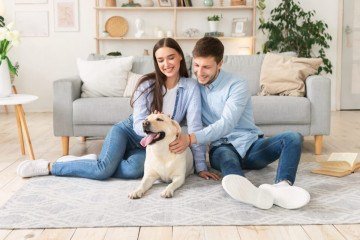 É importante garantir que o animal receba cuidados após as férias (Imagem: Prostock-studio | Shutterstock) -  (crédito: EdiCase - Pets -> Revista do CB)
