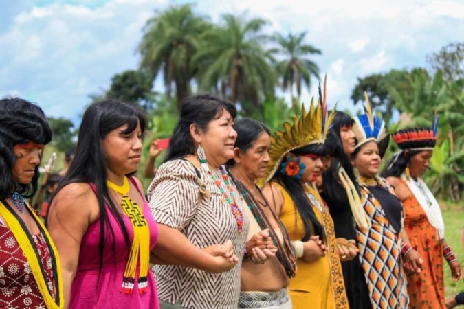 Para a presidente da Fundação Nacional dos Povos Indígenas, Joenia Wapichana, as mulheres indígenas são essenciais tanto na vida das comunidades tradicionais como para todo o planeta -  (crédito: Divulgação/Funai)