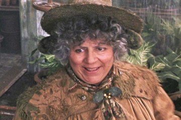 Margolyes participou de Harry Potter e a Câmara Secreta (2002) e voltou à franquia quase uma década depois, em Harry Potter e as Relíquias da Morte: Parte 2 -  (crédito: Warner Bros/Divulgação)