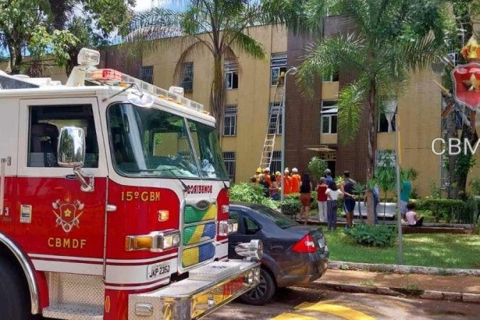 Cão foi resgatado por bombeiros - (crédito: CBMDF/Divulgação) Cão foi resgatado por bombeiros - (crédito: CBMDF/Divulgação)