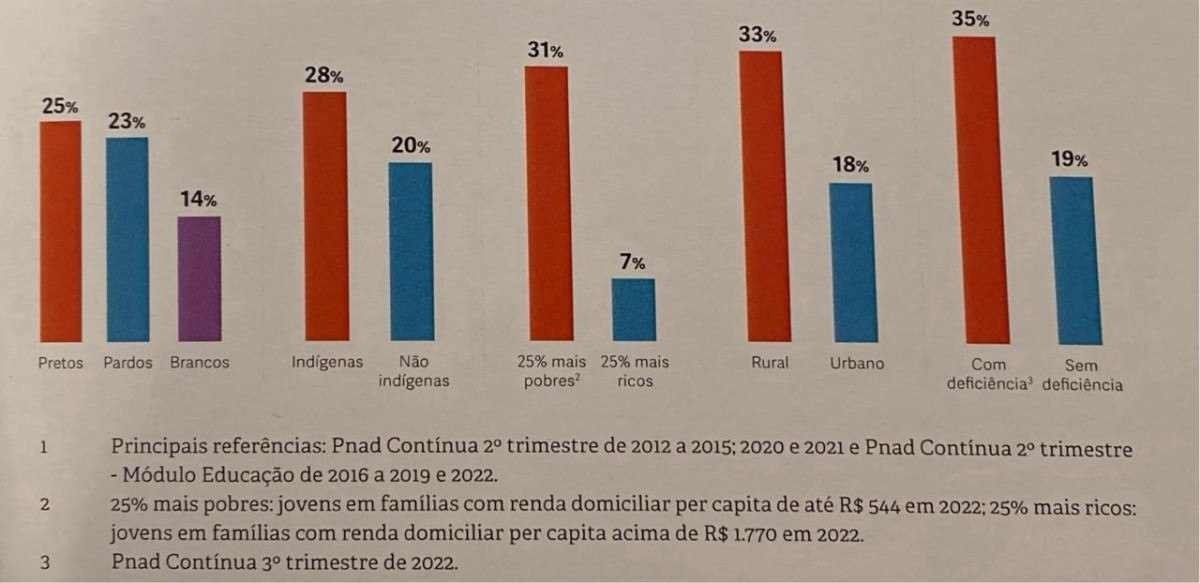 Perfil demográfico dos jovens que não terminaram o ensino básico no Brasil